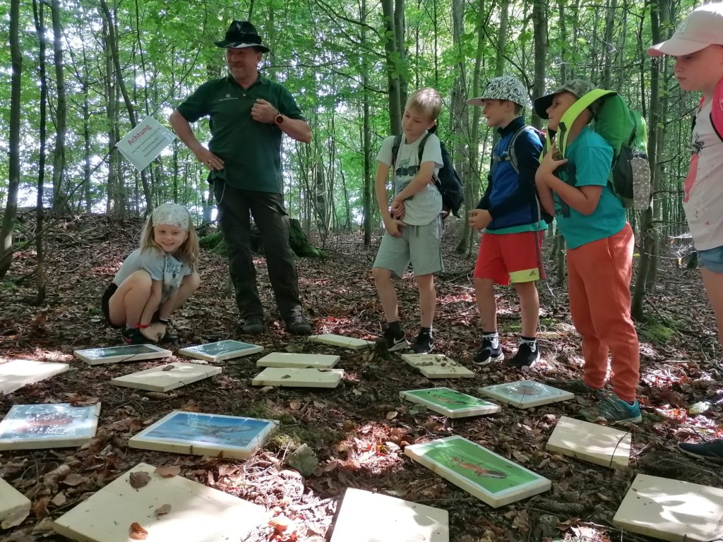 Eine weitere Aktion in dieser Woche war ein Ausflug mit Herr Köhler vom Sachsenforst. Er zeigte uns auf einer schönen Wanderung durchs Wagenbachtal die Artenvielfalt unseres Waldes.