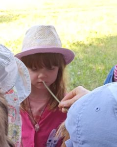 Am Dienstag 12.07. 2022 durften die Igel und ABC Kinder der Kita "Flachsröste" eine eigene Limonade herstellen.